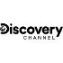 Discovery